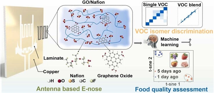 Um resumo gráfico do sensor de antena única revestido de óxido de grafeno. (Fonte da imagem: ScienceDirect)