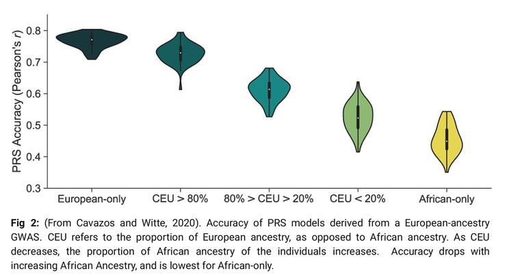 O diretor médico e de ciências P. Yazdi reconhece que a ascendência afeta a precisão das pontuações de risco porque os dados atuais de DNA são, em sua maioria, de europeus. (Fonte da imagem: Omics Edge)