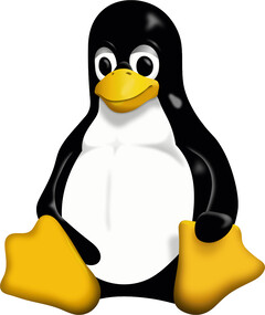 O Linux Kernel 6.11 está chegando e traz suporte para novos hardwares. (Imagem: Wikimedia Commons)