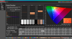 ColorChecker após a calibração