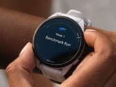 Vários smartwatches Garmin Forerunner estão recebendo a atualização beta da versão 21.18. (Fonte da imagem: Garmin)