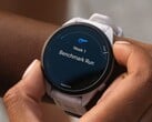 Vários smartwatches Garmin Forerunner estão recebendo a atualização beta da versão 21.18. (Fonte da imagem: Garmin)