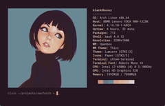 Até agora, uma captura de tela de sua própria área de trabalho Linux geralmente incluía uma janela de terminal com o Neofetch (Imagem: Dylan Araps/GitHub).